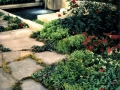 carvalho-landscaping-toronto10.jpg